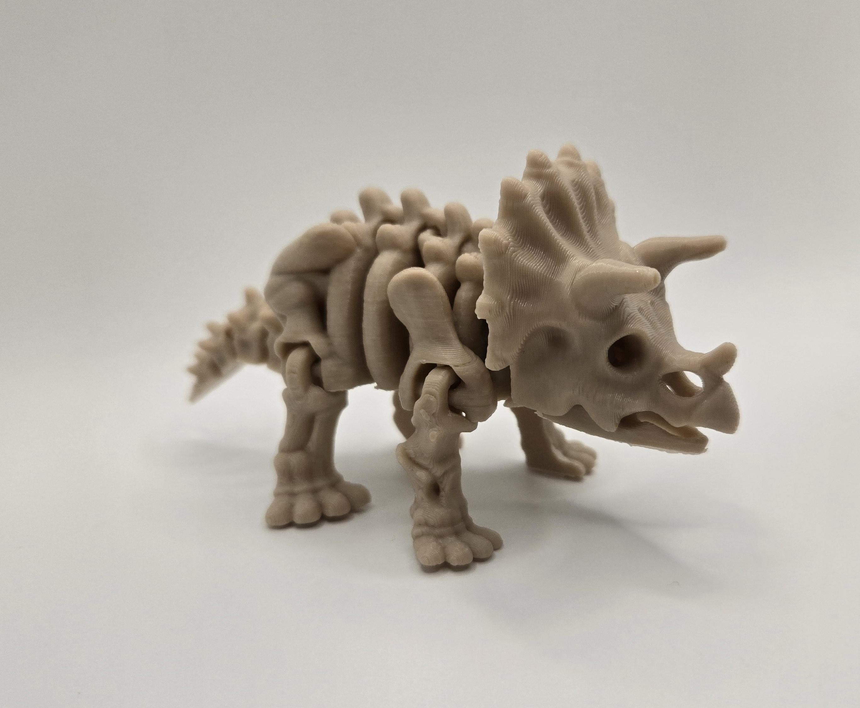 Triceratops Skeleton Articulated Fidget 3D Printed Toy Flexi Standing Figurine