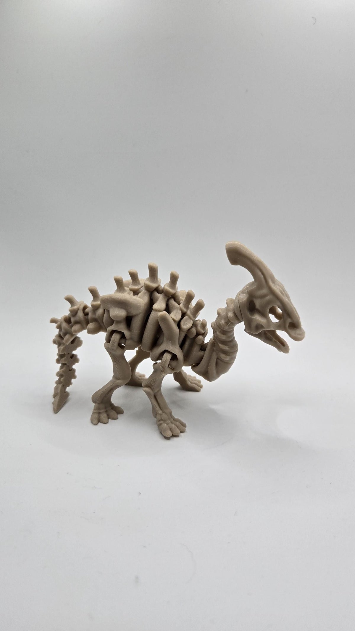Parasaurolophus Skeleton Articulated Fidget 3D Printed Fossil Flexi Standing Figurine