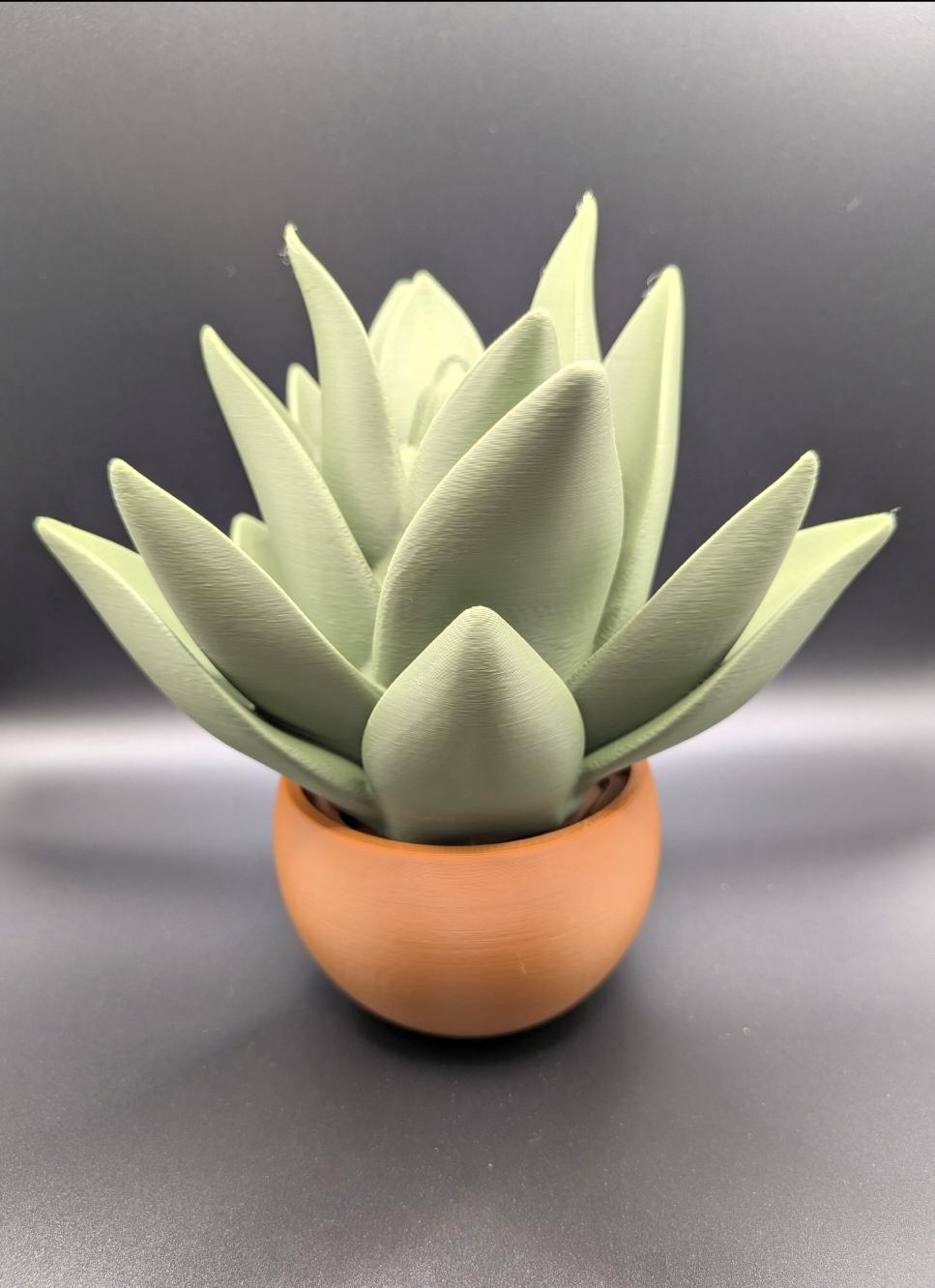 Succulent and Planter 3D Printed Modern Home Decor