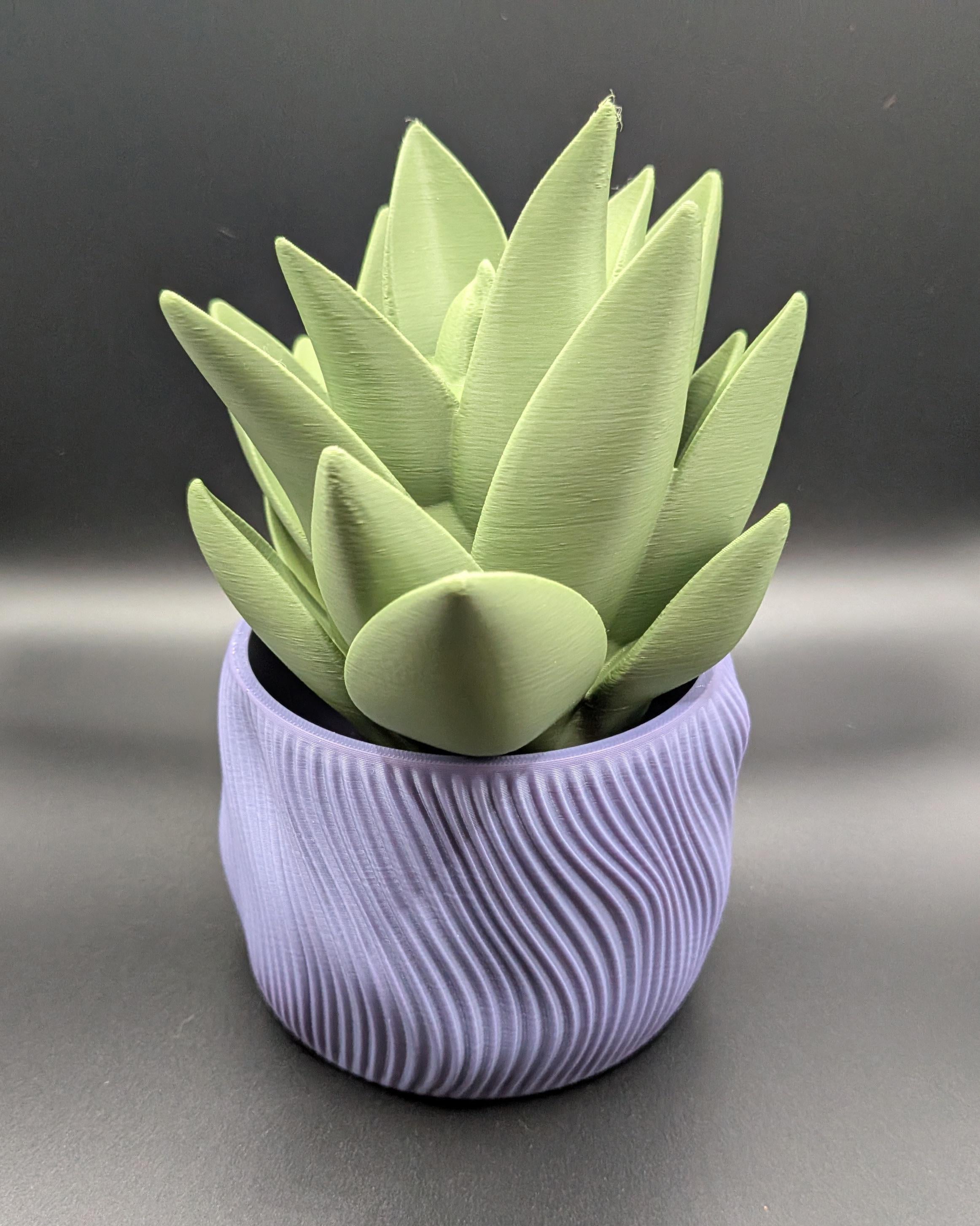 Spiral Wavy Succulent Planter 3D Printed Pot interstellar Purple