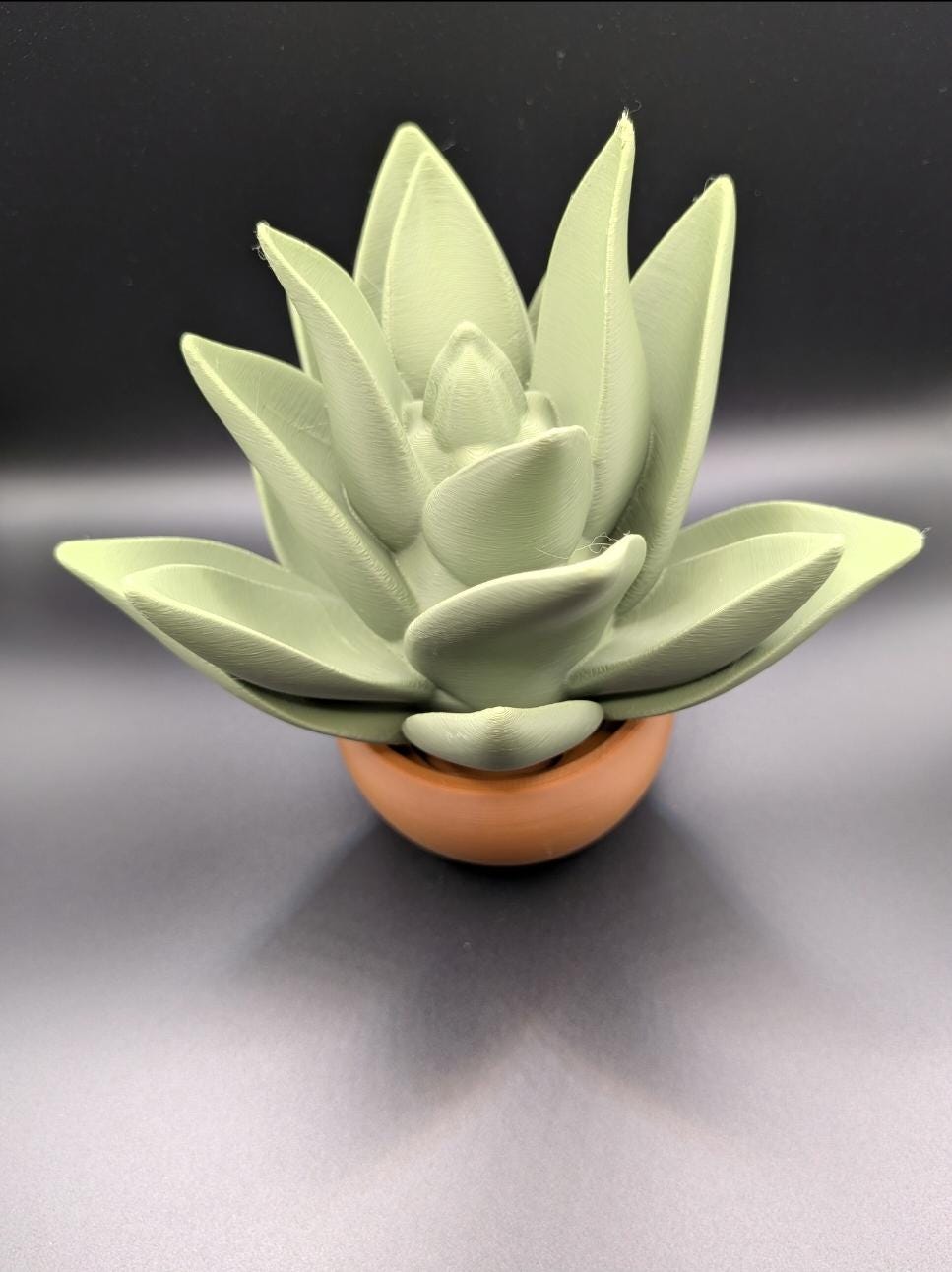 Succulent and Planter 3D Printed Modern Home Decor
