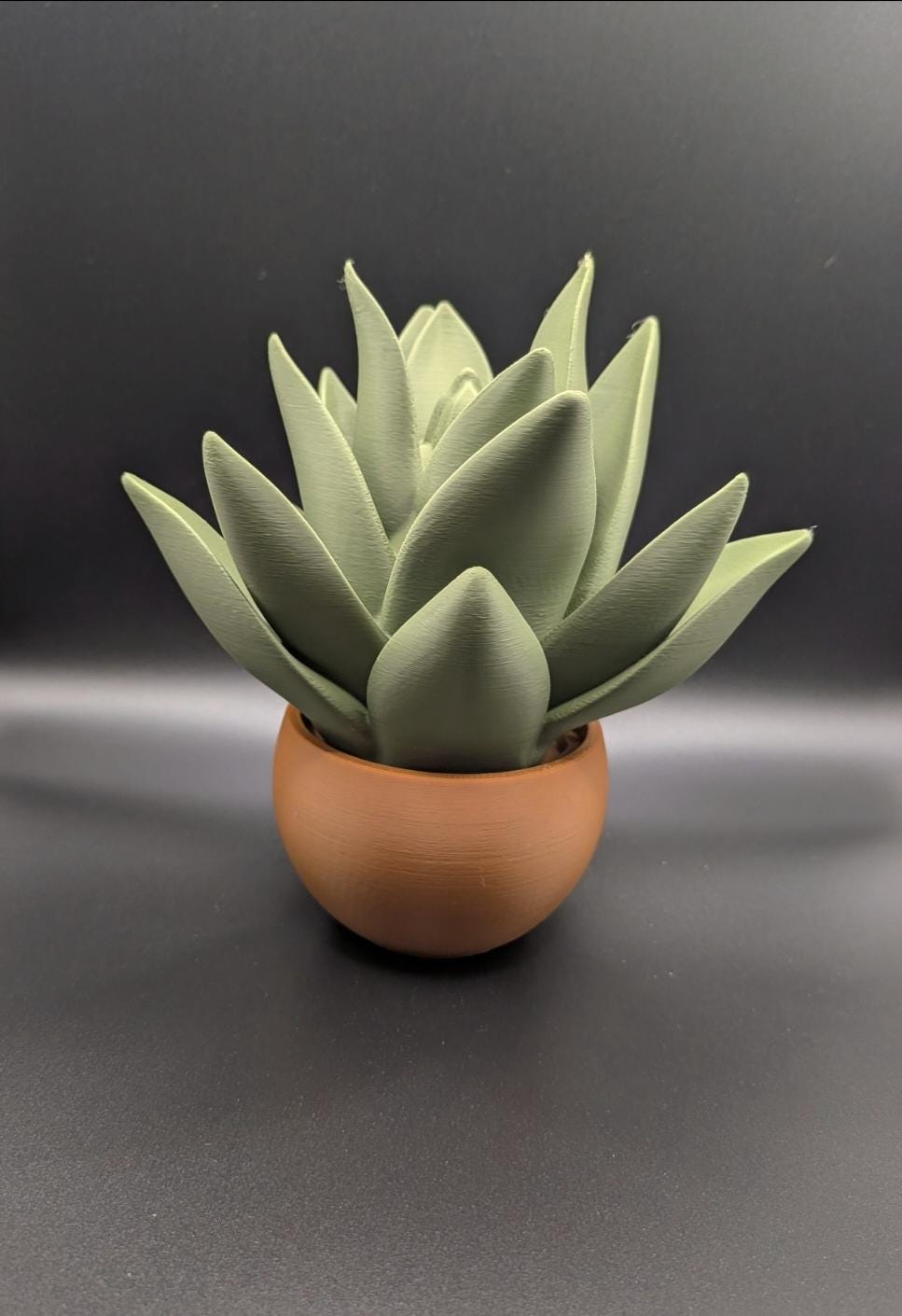 Succulent and Planter 3D Printed Modern Home Decor