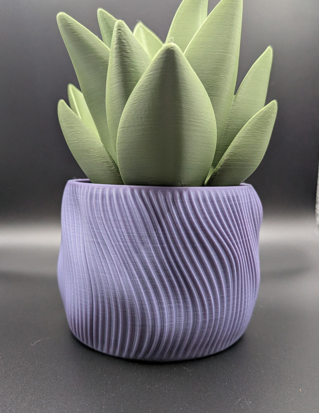 Spiral Wavy Succulent Planter 3D Printed Pot interstellar Purple