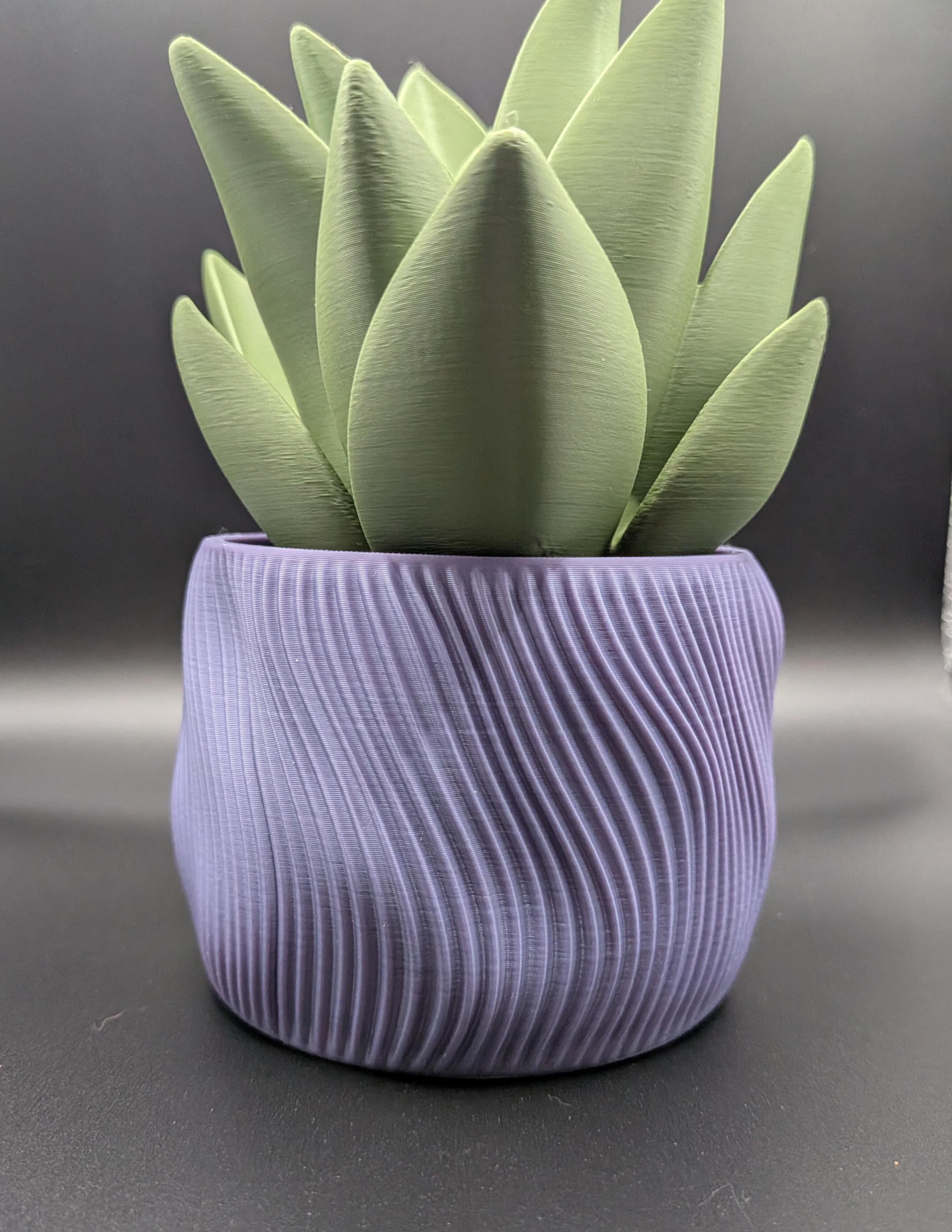 Spiral Wavy Succulent Planter 3D Printed Pot interstellar Purple