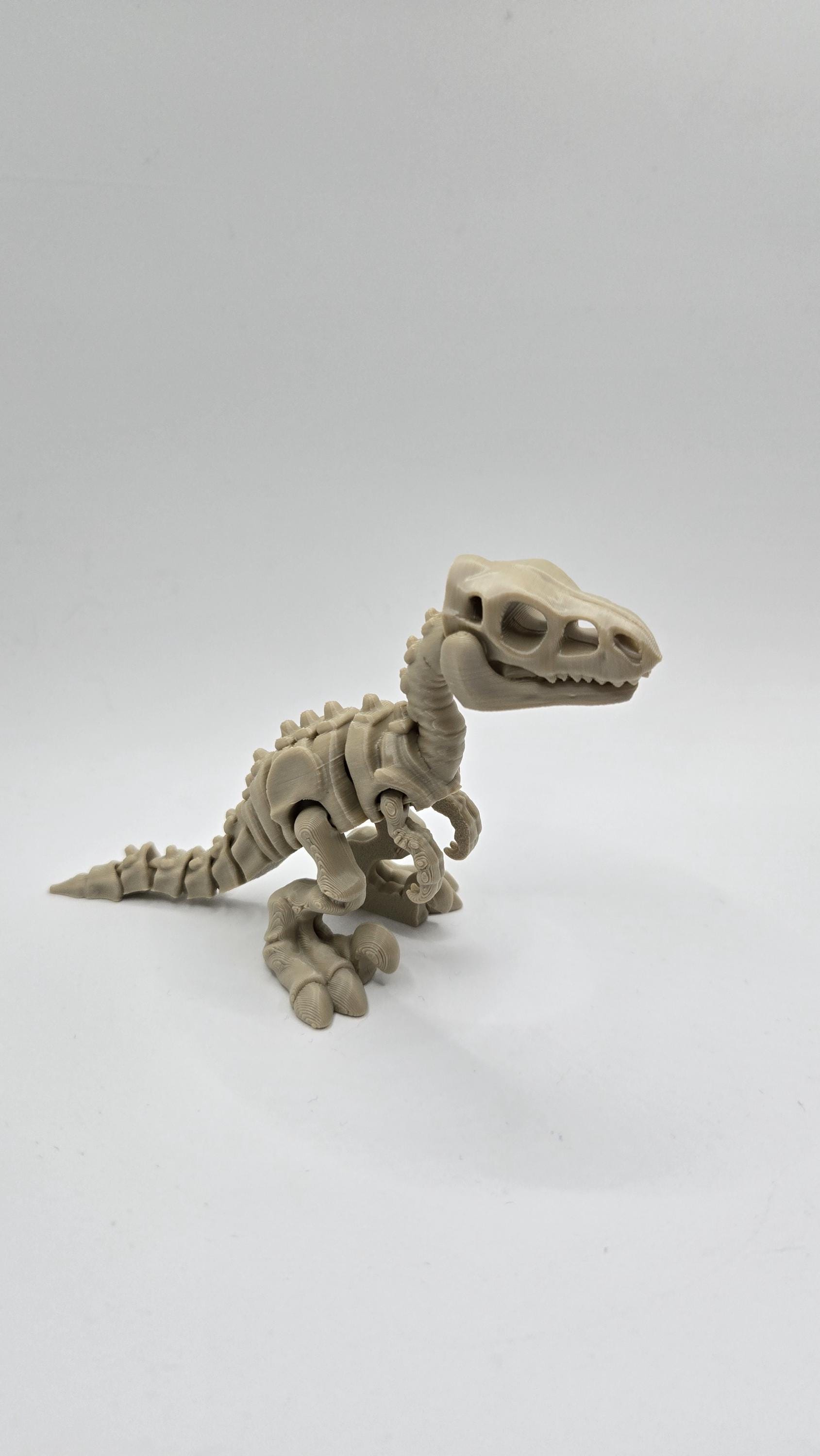 Velociraptor Skeleton Articulated Fidget 3D Printed Fossil Flexi Standing Figurine