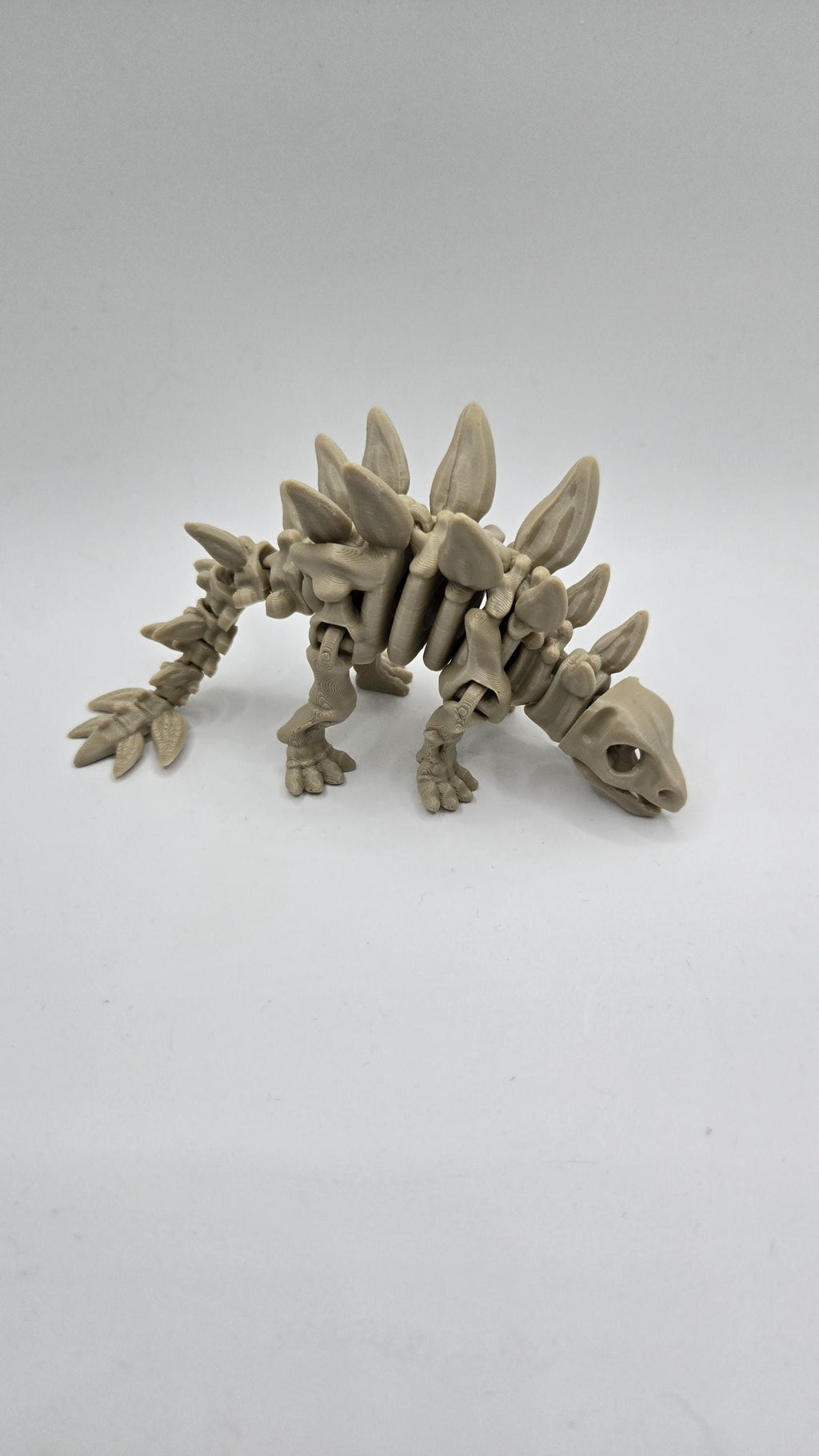 Stegosaurus Skeleton Articulated Fidget 3D Printed Fossil Flexi Standing Figurine