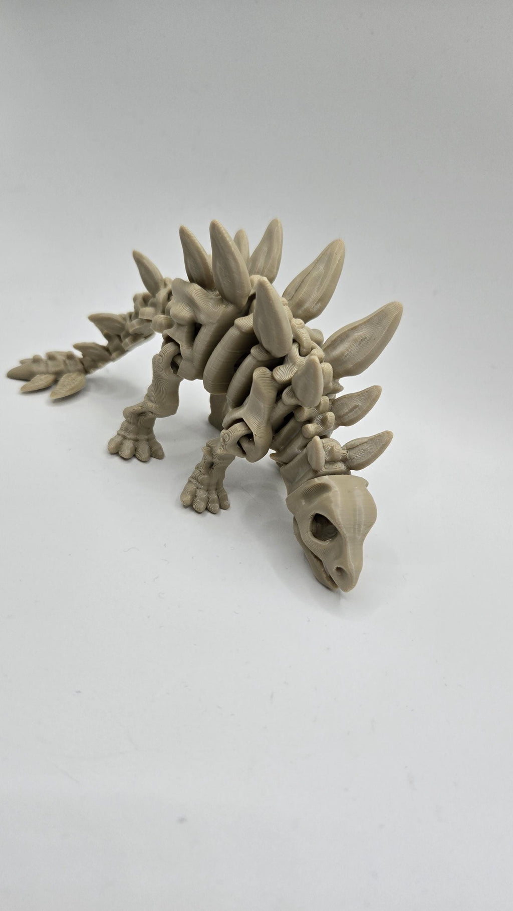 Stegosaurus Skeleton Articulated Fidget 3D Printed Fossil Flexi Standing Figurine